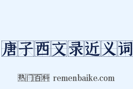 唐子西文录近义词是什么意思的图片